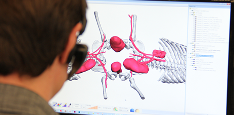 Dicom to Print